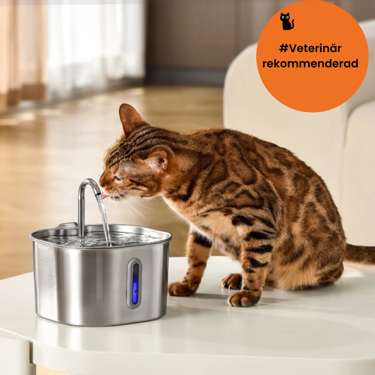 CatPure™ - Hälsa och lycka för din katt