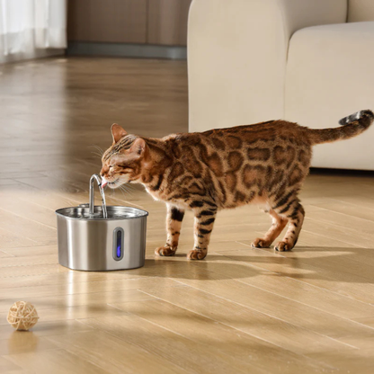 CatPure™ - Hälsa och lycka för din katt