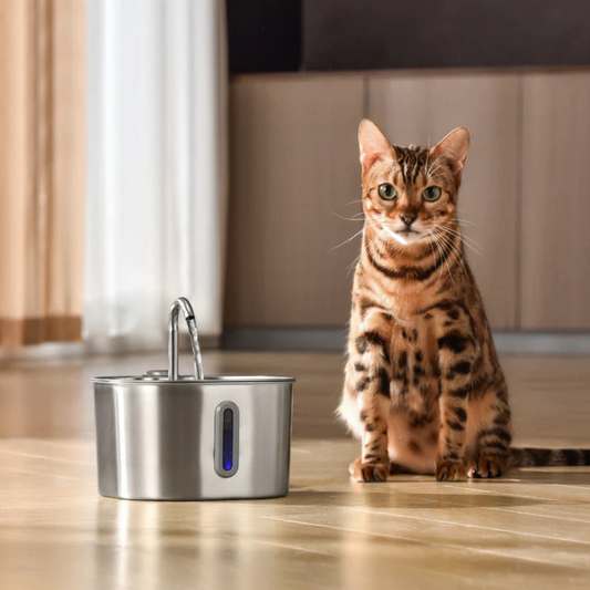 CatPure™ - Hälsa och lycka för din katt